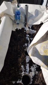 KARTOFLER I KAPILARKASSEBOKS